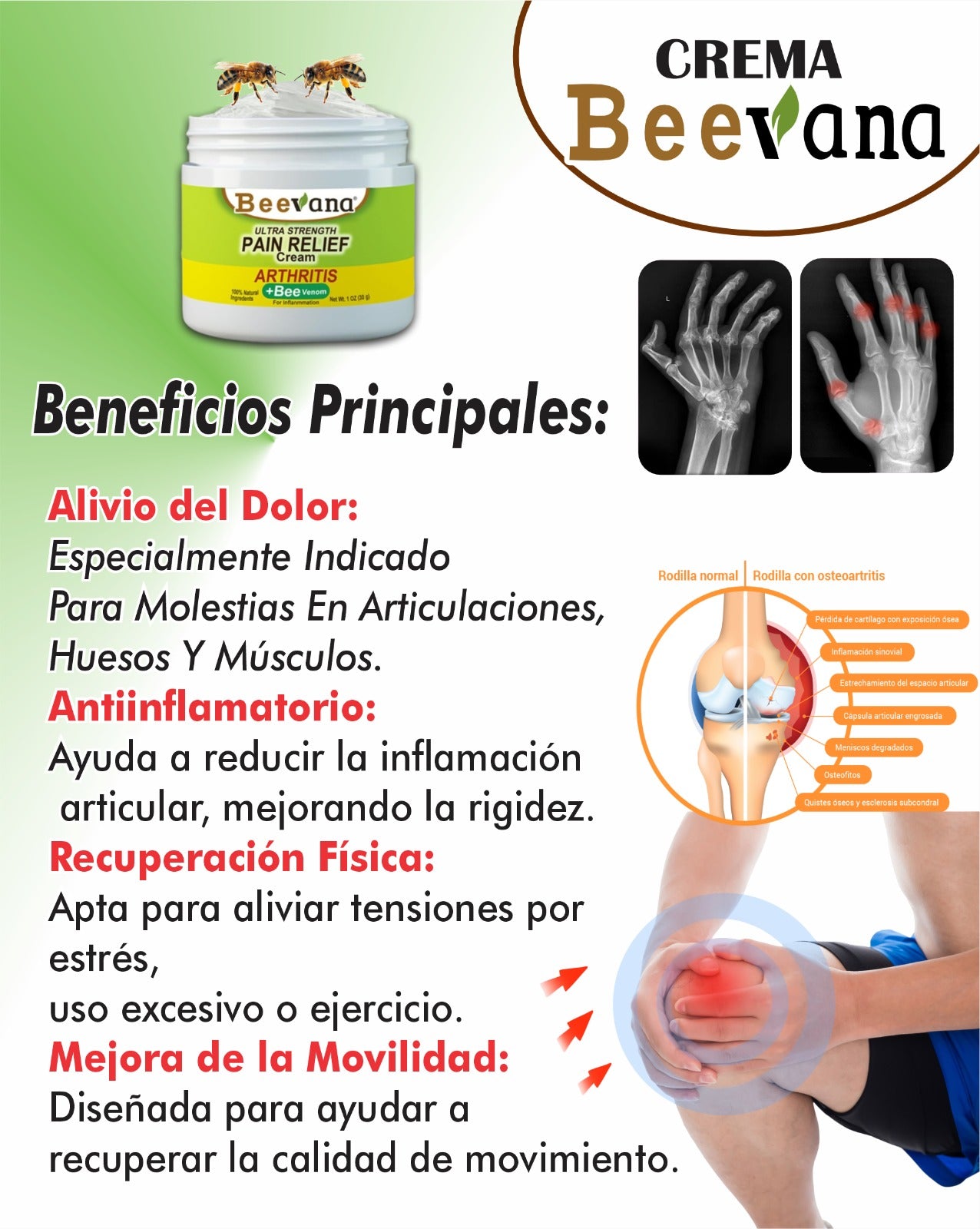 Beevana crema dolores y articulaciones X 4 Unidades
